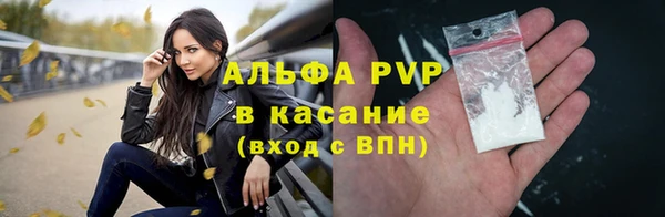 ECSTASY Вяземский