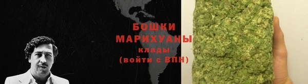 ECSTASY Вяземский