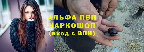 ECSTASY Вяземский